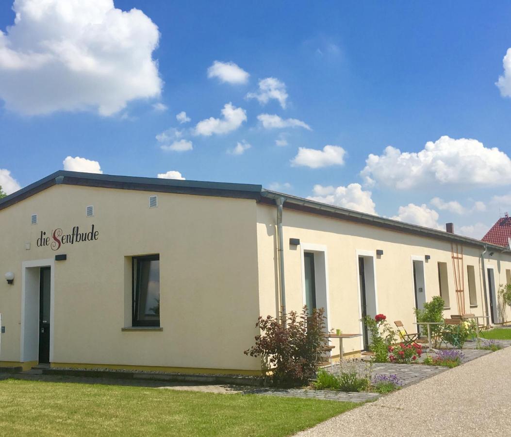 Die Senfbude - Klein Aber Fein - Wunderschoenes Studio-Apartment Mit Terrasse Und Stellplatz Lipsk Zewnętrze zdjęcie
