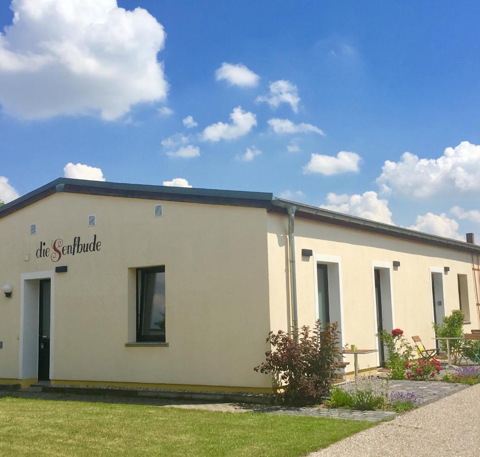 Die Senfbude - Klein Aber Fein - Wunderschoenes Studio-Apartment Mit Terrasse Und Stellplatz Lipsk Zewnętrze zdjęcie