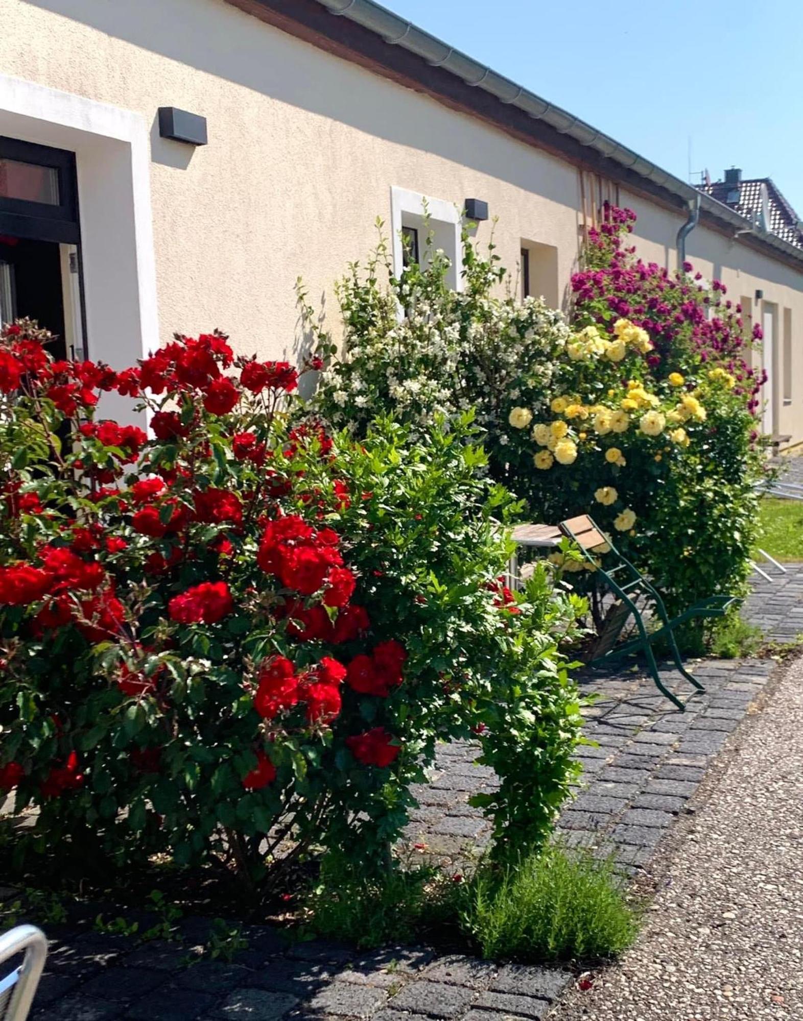 Die Senfbude - Klein Aber Fein - Wunderschoenes Studio-Apartment Mit Terrasse Und Stellplatz Lipsk Zewnętrze zdjęcie